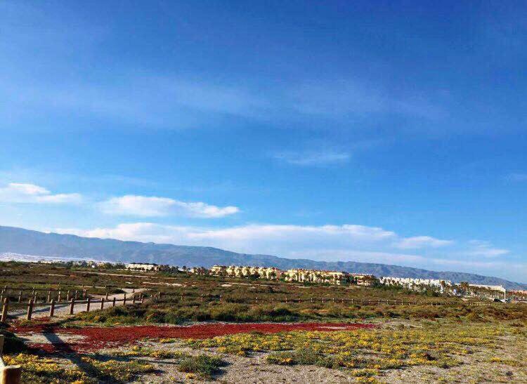 Apartamento Lujo, Primera Linea Playa, Garaje, Wifi, Piscina Climatizada Roquetas de Mar Exteriör bild